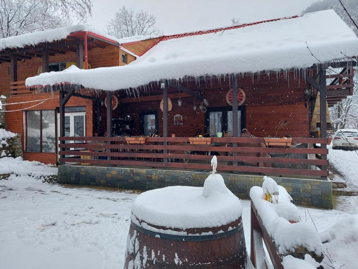 Cabana Alpha Baia Mare Bagian luar foto