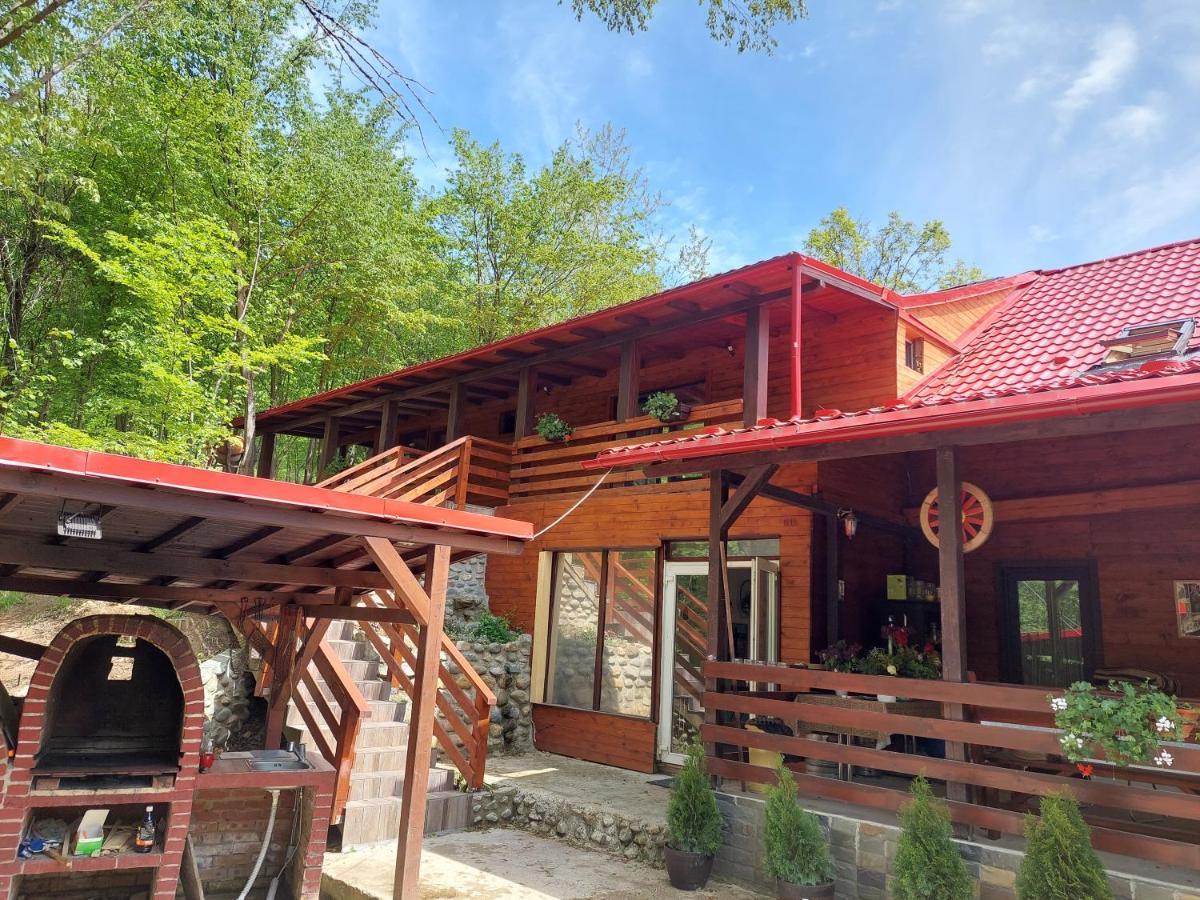 Cabana Alpha Baia Mare Bagian luar foto