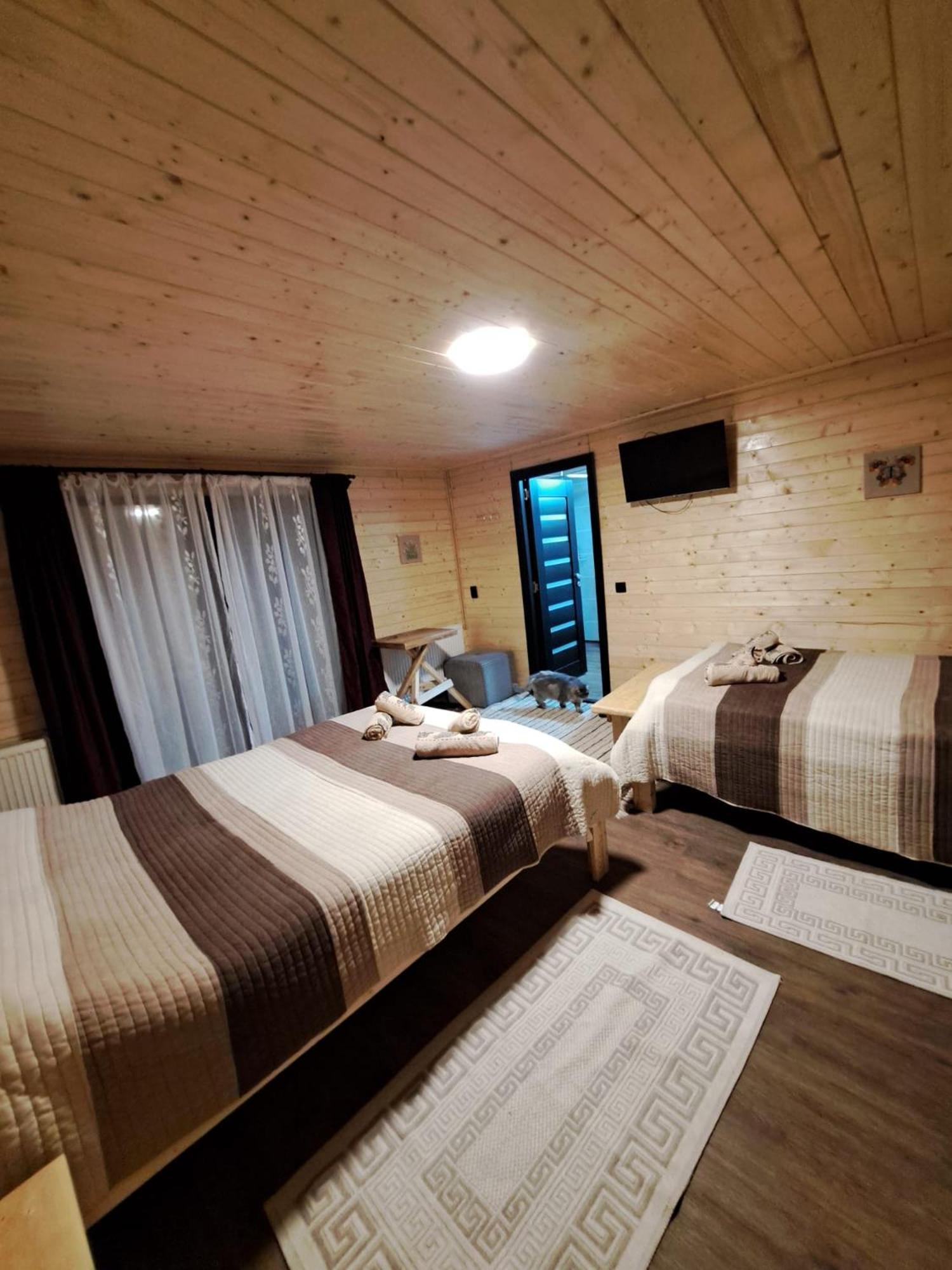 Cabana Alpha Baia Mare Bagian luar foto